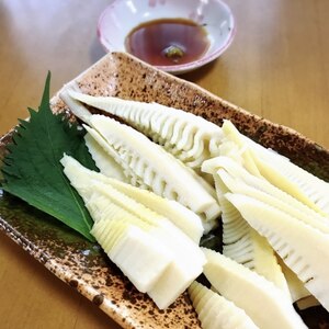 新鮮だからこそ出来る！朝掘り筍の刺身